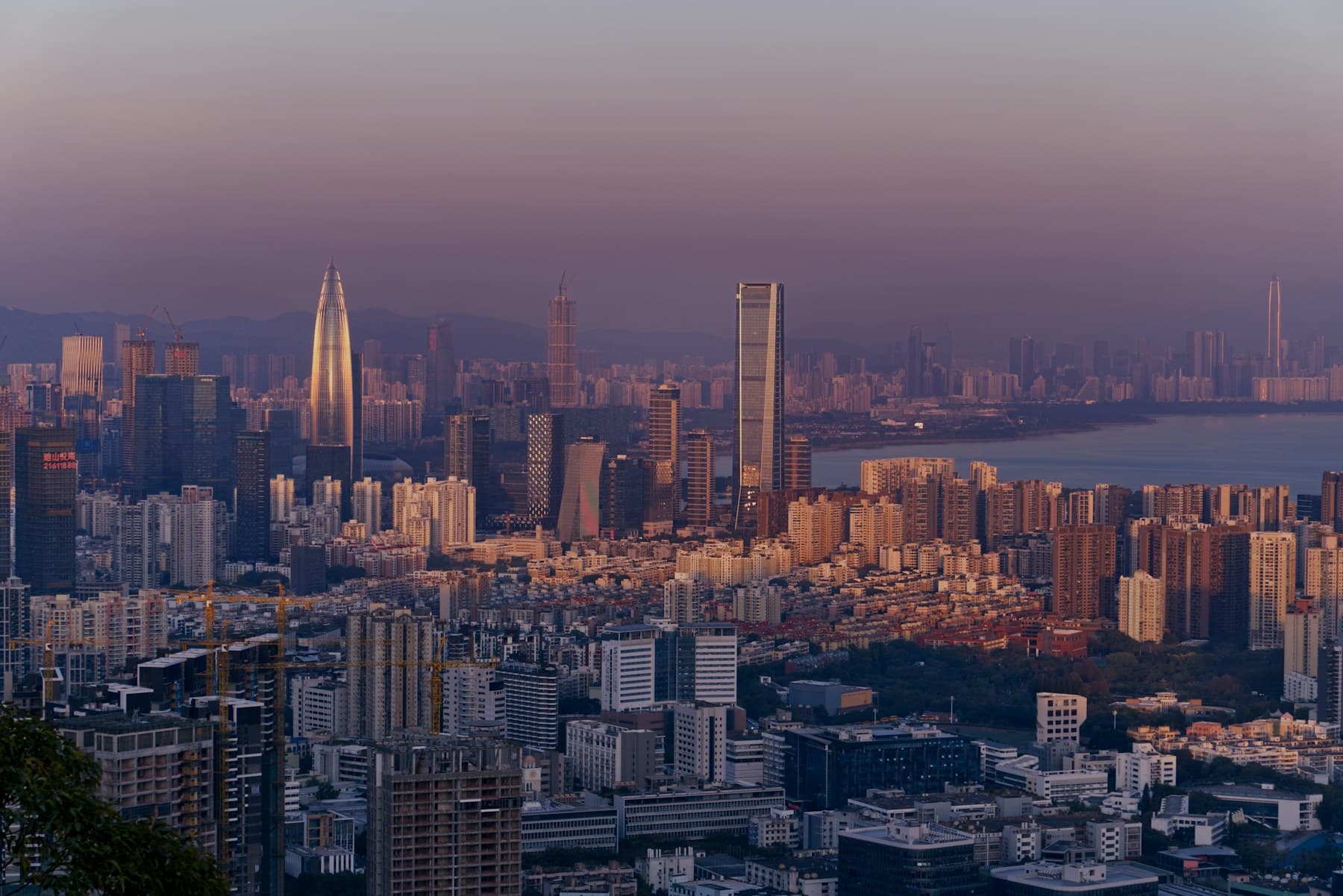 Shenzhen skyline in warm evening light